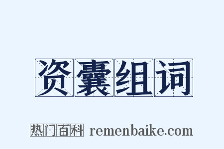 资囊组词是什么意思的图片